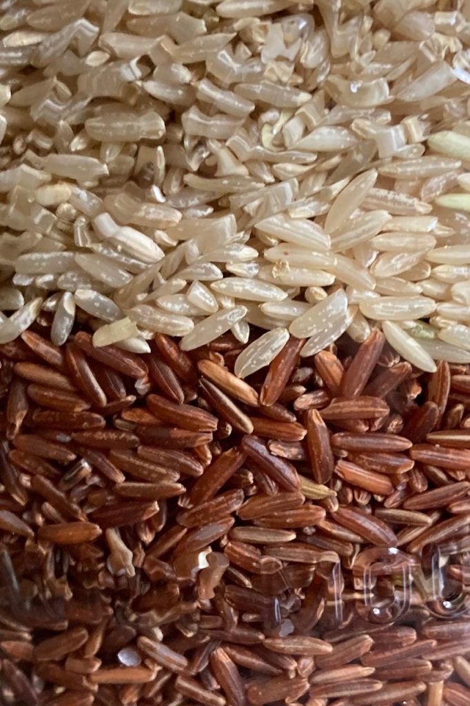 dry brown rice and dry red rice close up