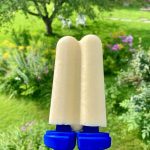 Double orange creamsicle popsicle outside on a summer day